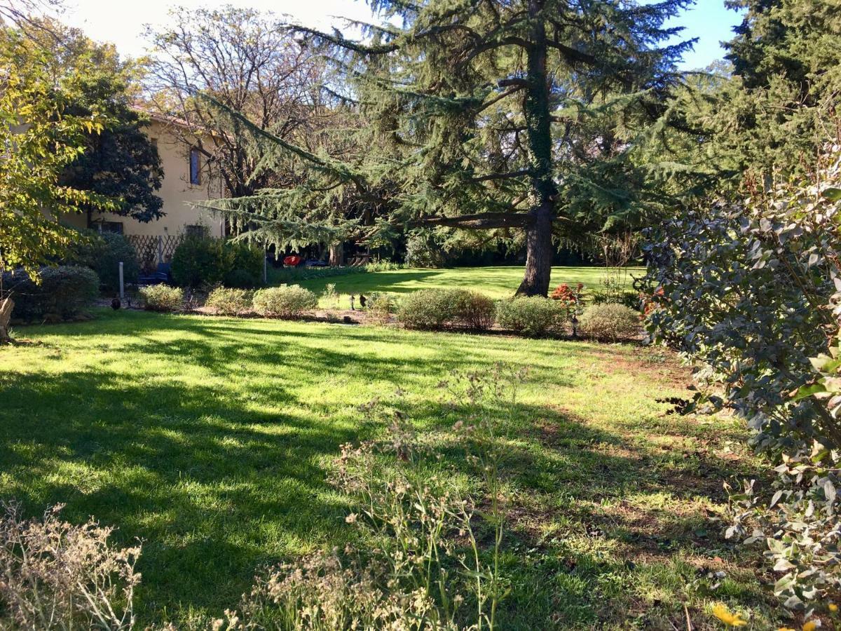 Gites Avec Piscine Et Jacuzzi Au Mas De Cadoule Saint-Just  Kamer foto